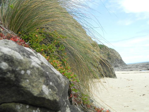 Cape 28 - Darwin Holiday 5