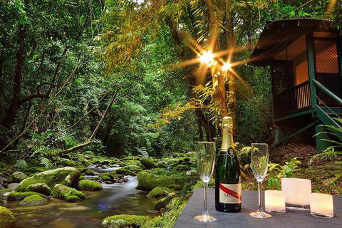 Misty Mountains Rainforest Retreat - Darwin Holiday 3