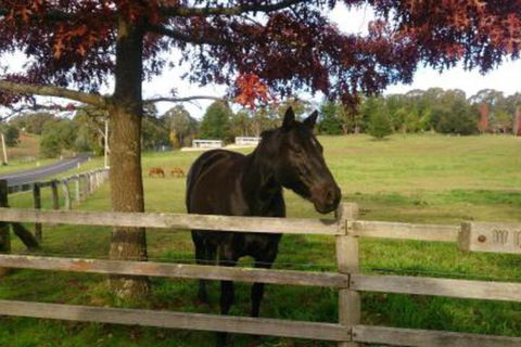 Towac Valley Cabins - Darwin Holiday 2