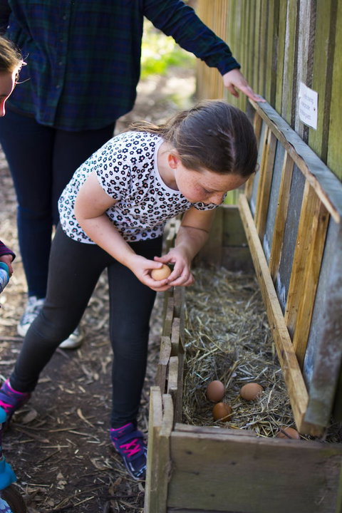 Freshwater Creek Cottages And Farm Stay - Darwin Holiday 4