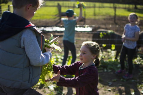 Freshwater Creek Cottages And Farm Stay - Darwin Holiday 3
