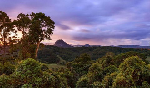 Cooroy Country Cottages - Darwin Holiday 3