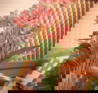 Hotel Avonleigh - Darwin Holiday