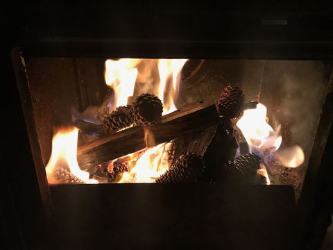 The Polish Place - Darwin Holiday 5