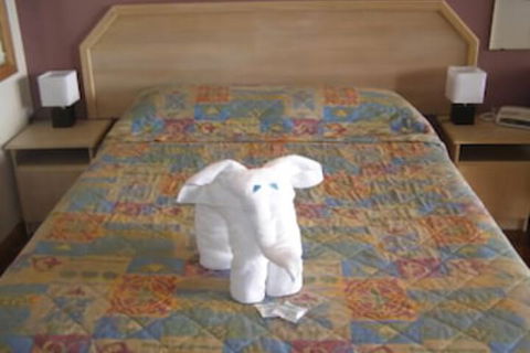 Koala Tree Motel - Darwin Holiday 5