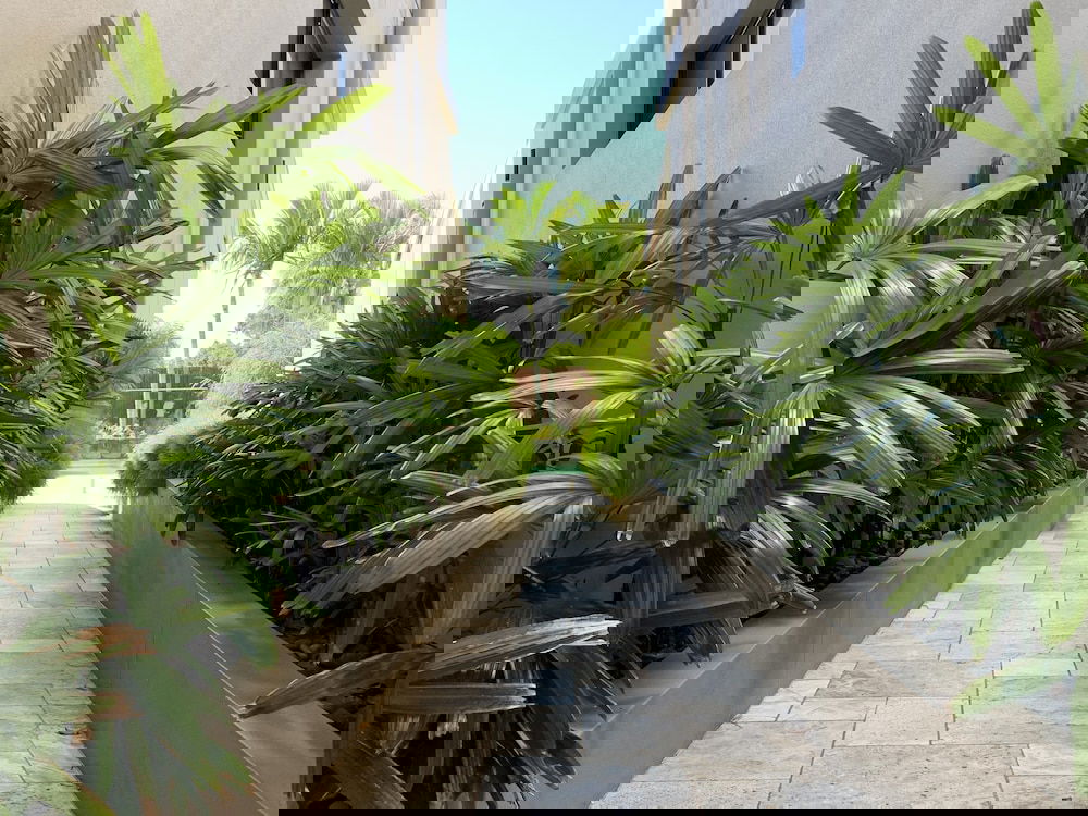 Byron Bay NSW Darwin Holiday