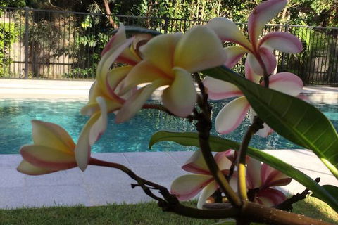 Arabella Garden Inn Motel - Darwin Holiday 2