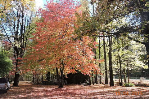 Alpine Park Riverside Cottages - Darwin Holiday 2