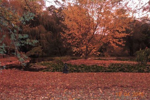 Alpine Park Riverside Cottages - Darwin Holiday 1