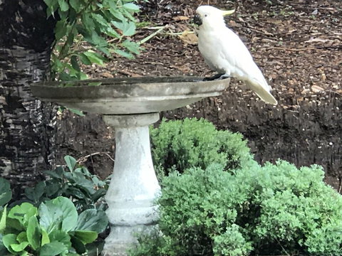 Kurrara Historic Guest House - Darwin Holiday 2