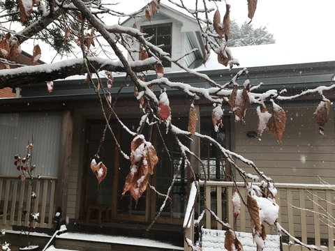 Kurrara Historic Guest House - Darwin Holiday 4