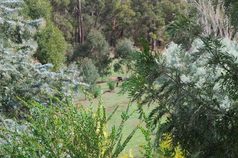 Riverwood Retreat - Darwin Holiday 4