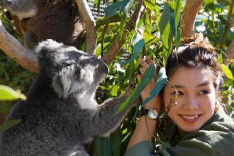 Fauna Australia Wildlife Retreat - Darwin Holiday 2