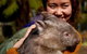 Fauna Australia Wildlife Retreat - thumb 0