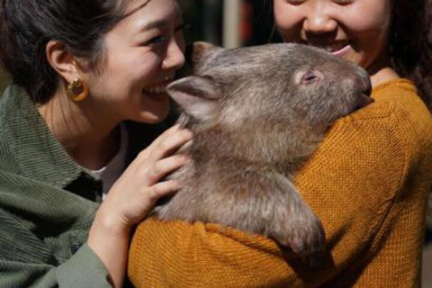 Fauna Australia Wildlife Retreat - Darwin Holiday 4