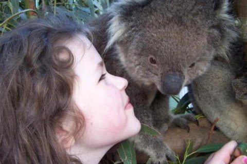 Fauna Australia Wildlife Retreat - Darwin Holiday 3