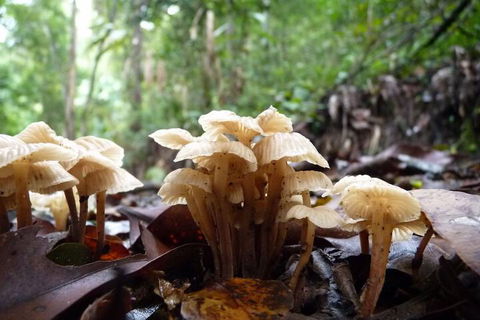 Bellthorpe Stays - Darwin Holiday 3