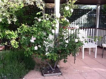 Ellesmere House - Darwin Holiday 0