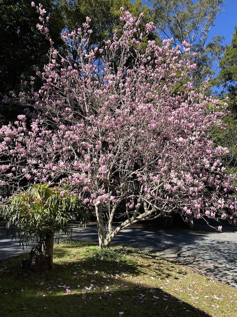 Curtis Cottage - Darwin Holiday 5