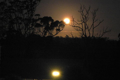 Scarlet Woods Chalets - Darwin Holiday 2