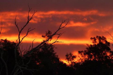 Launceston Bed & Breakfast Retreat - Darwin Holiday 7