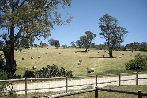 1860 Wine Country Cottages - Darwin Holiday 4
