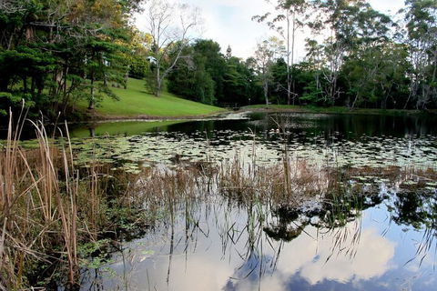 Montville Country Cabins - Darwin Holiday 2