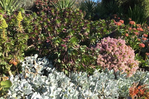 Glenrowan Kelly Country Motel - Darwin Holiday 5