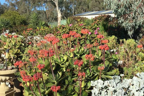 Glenrowan Kelly Country Motel - Darwin Holiday 3