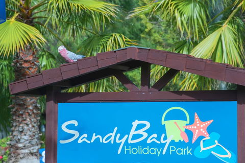 Sandy Bay Holiday Park - Darwin Holiday 0