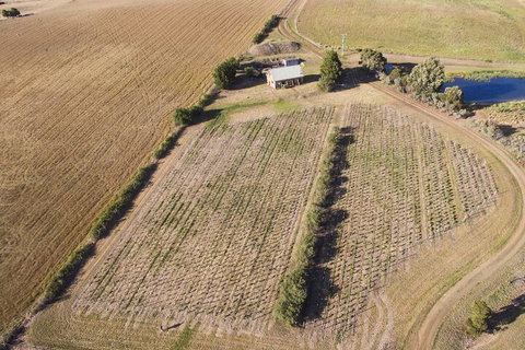 Charles Reuben Estate - Darwin Holiday 1