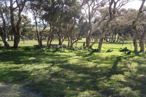 Wenton Farm Holiday Cottages - Darwin Holiday 3