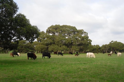 Wenton Farm Holiday Cottages - Darwin Holiday 4