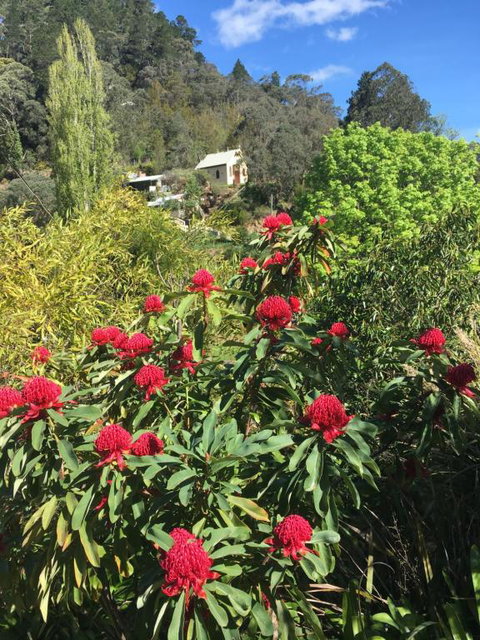 Stringers Cottage - Darwin Holiday 1