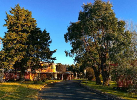 Poplars At Mittagong - Darwin Holiday 5