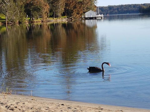 Wyreepi Caribbean Chalet - Darwin Holiday 1