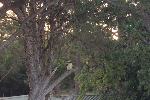 Huskisson Beach B&B - Darwin Holiday 2