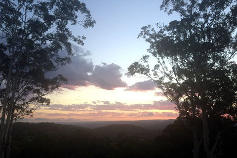 Phoenix Eumundi Bed & Breakfast - Darwin Holiday 1