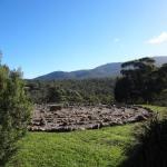 Bornes Hill ACT Darwin Holiday