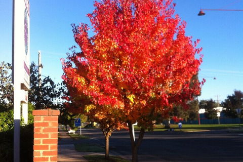 Mansfield Traveller's Lodge - Darwin Holiday 2