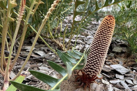 Sunny Side Up B&B - Darwin Holiday 5