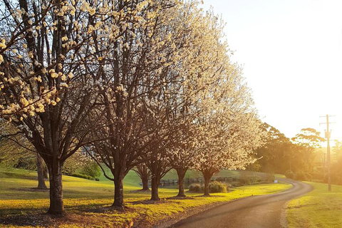 The Drawing Rooms Of Berry - Darwin Holiday 1