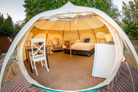 BIG4 Yarra Valley Park Lane Holiday Park - Darwin Holiday 5