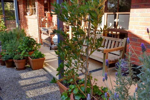 Roseneath Villa B & B - Darwin Holiday 2