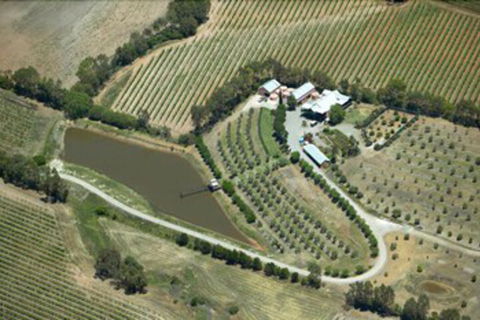 Patly Hill Farm - Darwin Holiday 1