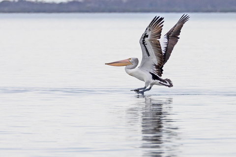 Mariners Cove At Paynesville Motel & Apartments - Darwin Holiday 5
