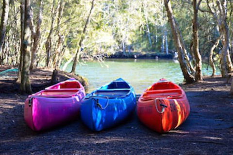 Jervis Bay Cabins & Hidden Creek Campsite - Darwin Holiday 0
