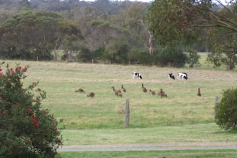 Woody Grange Chalets - Darwin Holiday 6