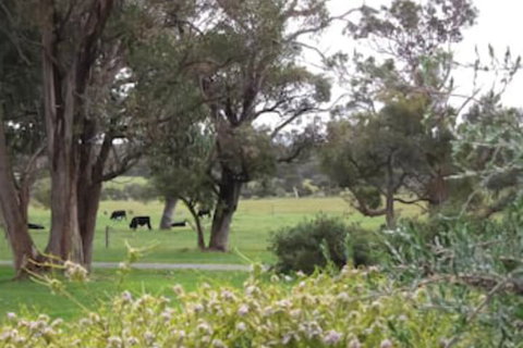 Woody Grange Chalets - Darwin Holiday 3