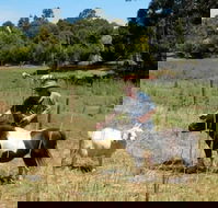 Country Cottages of Bridgetown - Darwin Holiday